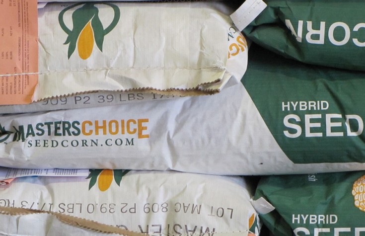 Masters Choice seedcorn.com